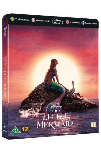 The Little Mermaid - picture