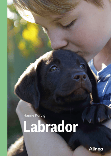 Labrador, Grøn Fagklub_0