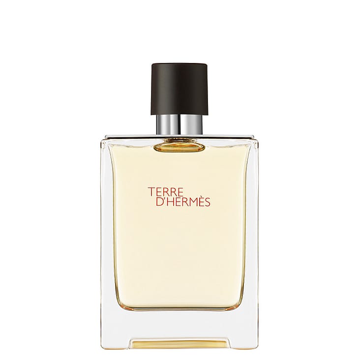 Hermés - Terre d'Hermès EDT 100 ml_0