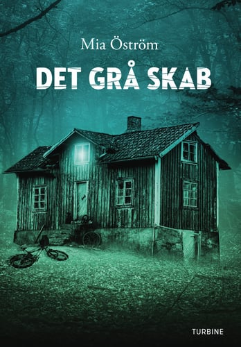 Det grå skab