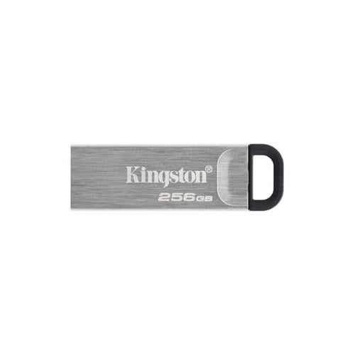 USB stick Kingston DTKN/256GB USB 3.2 Sølv 256 GB_1