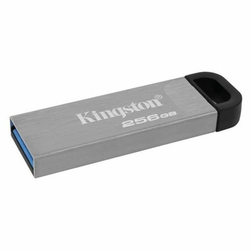USB stick Kingston DTKN/256GB USB 3.2 Sølv 256 GB_4