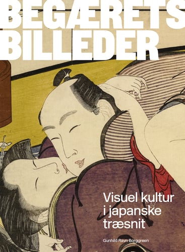 Begærets billeder - picture