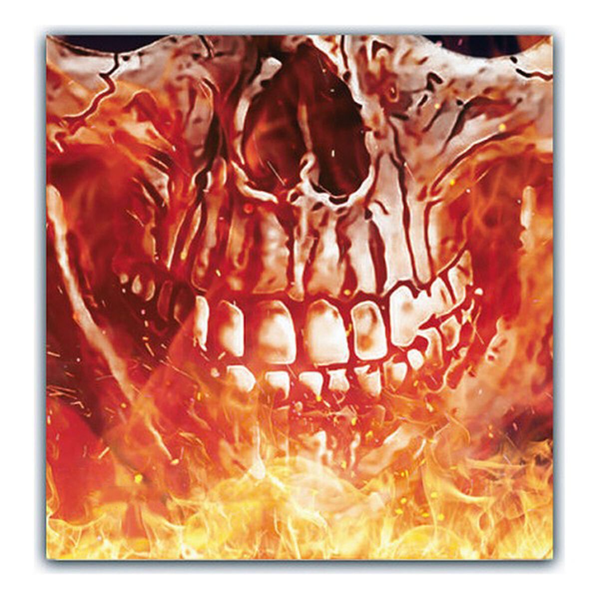 Hygienic Reusable Fabric Mask Adult Male Demon_3
