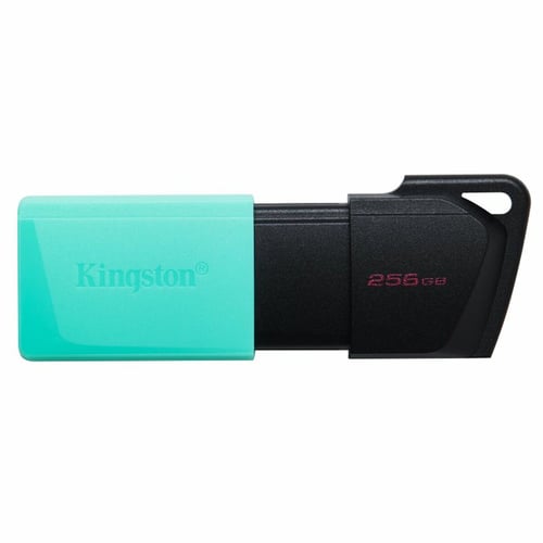 "USB-stik Kingston DataTraveler DTXM 256 GB 256 GB"_3