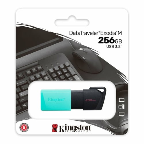 "USB-stik Kingston DataTraveler DTXM 256 GB 256 GB"_4