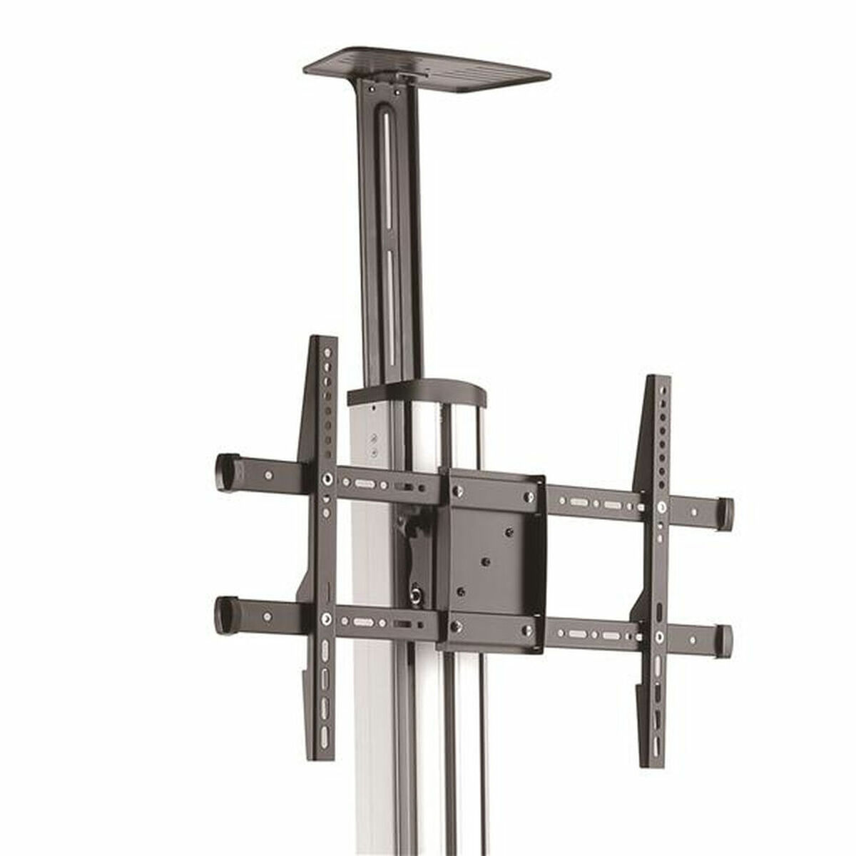 Trolley Startech STNDMTV70 _7