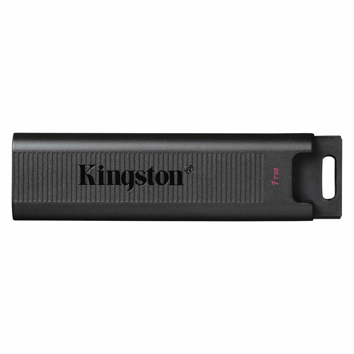USB stick Kingston DTMAX 1 TB_1