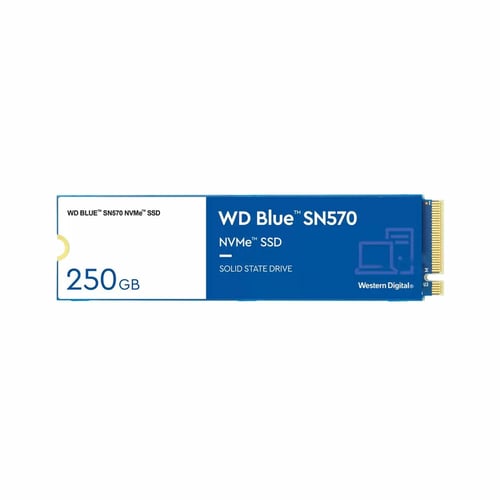Harddisk Western Digital BLUE 250 GB SSD_4