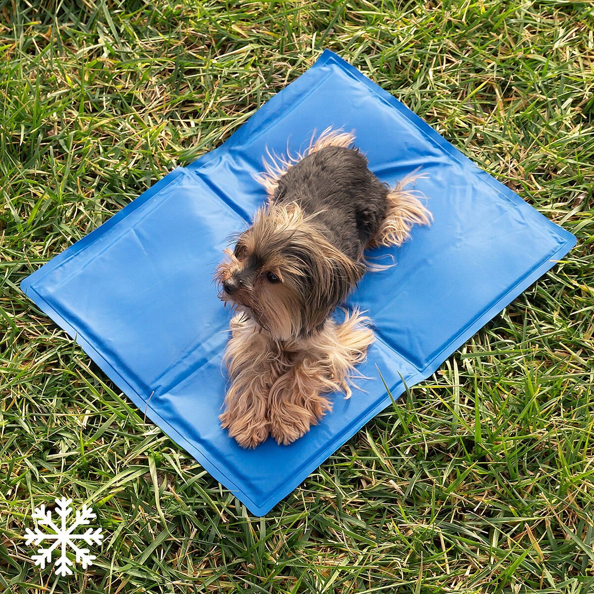 InnovaGoods Refreshing Pet Mat (40 x 50 cm)_13