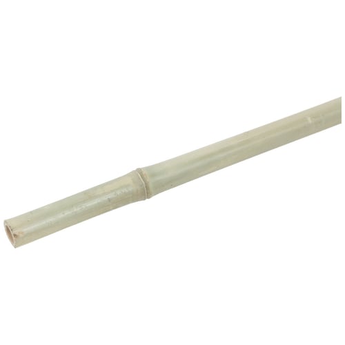 Matta av bambu. H180 cm 5 st/förpackning. - picture
