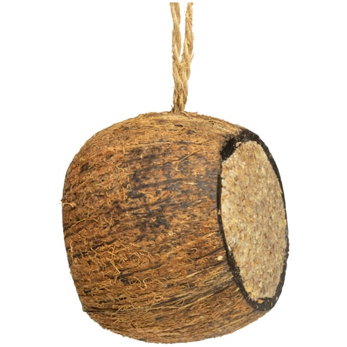 Kokosnød "tromme" m*/ fedt foder og oph - picture