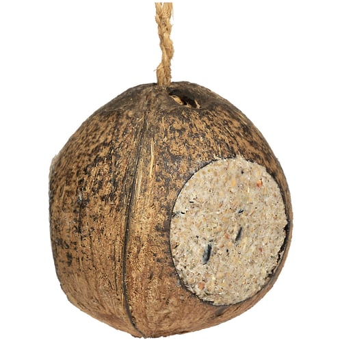 Kokosnöt 3 hål, med fett och melo. Oph_0