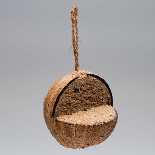 CARE-Bird fylld kokosnöt - picture