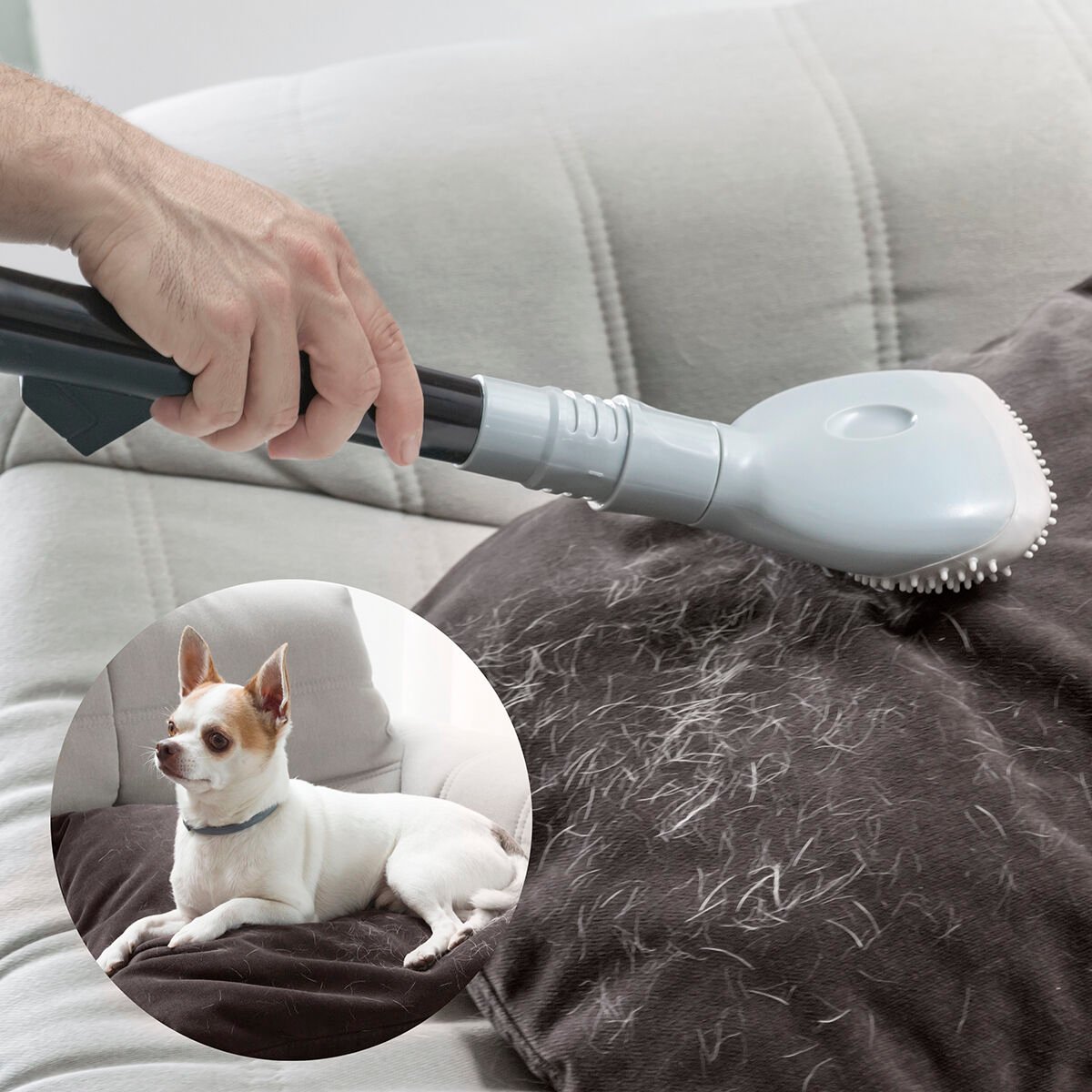 InnovaGoods Hair Remover Vacuum Brush_2