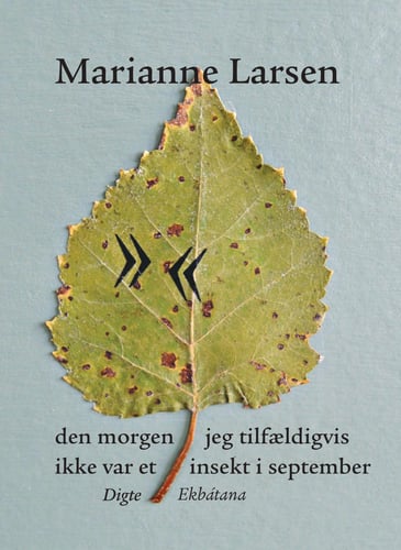 den morgen jeg tilfældigvis ikke var et insekt i september