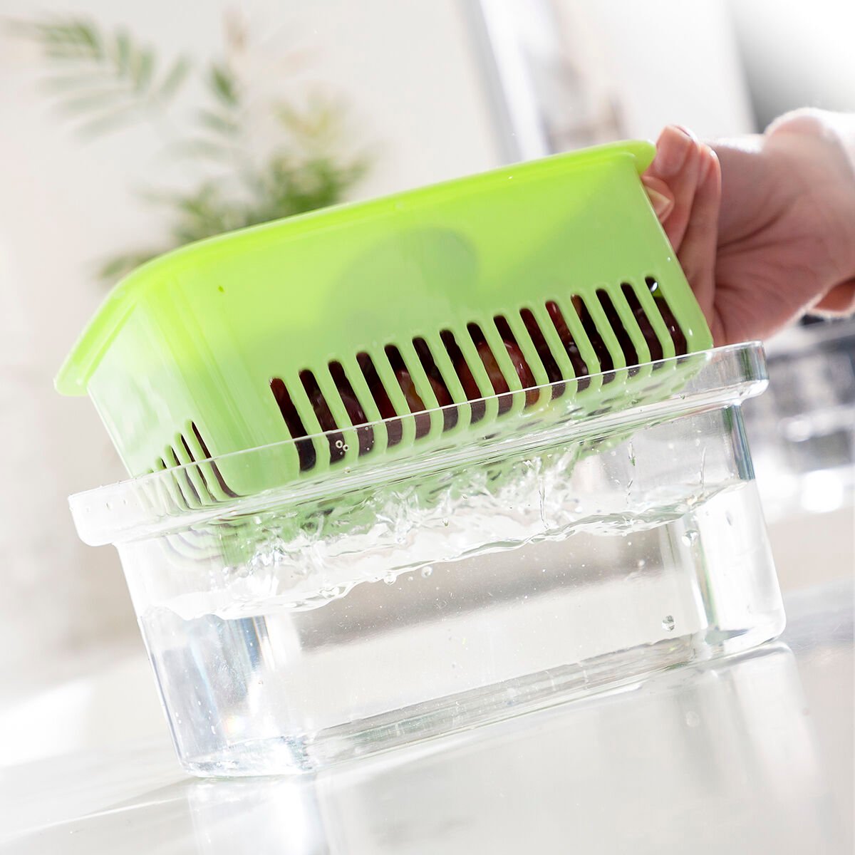 Food Preservation Container Prefo InnovaGoods_31