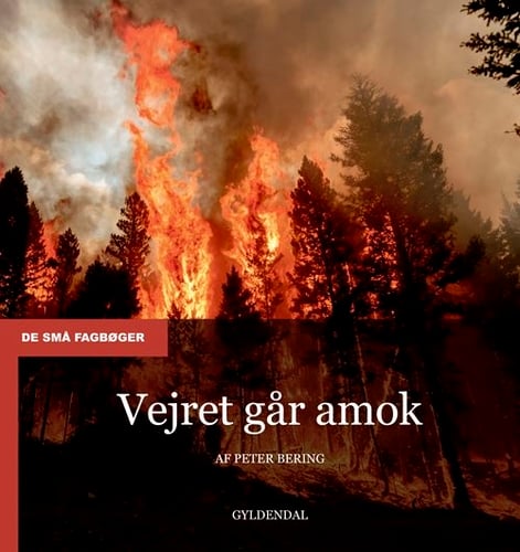 Vejret går amok