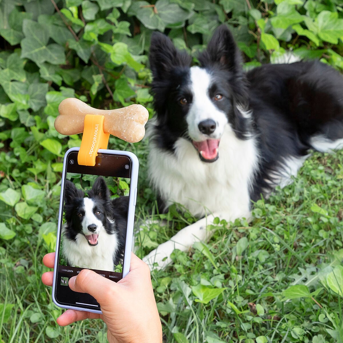 Selfie Clip for Pets Pefie InnovaGoods_24