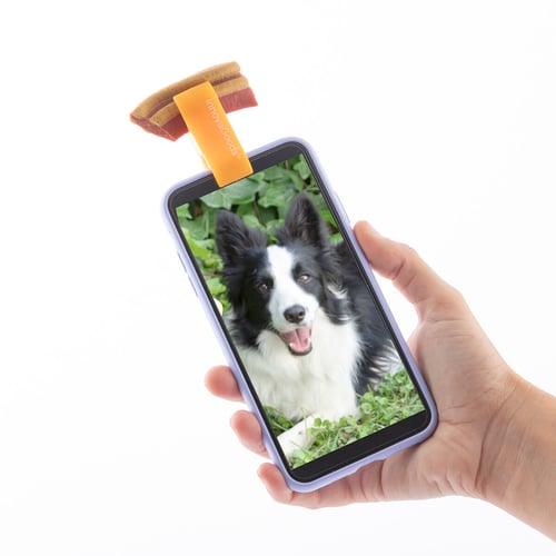Selfieklämma för husdjur Pefie InnovaGoods_28