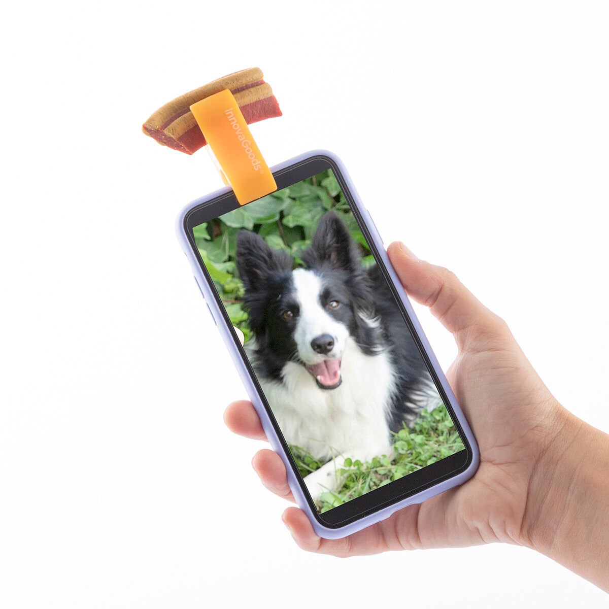 Selfie Clip for Pets Pefie InnovaGoods_28
