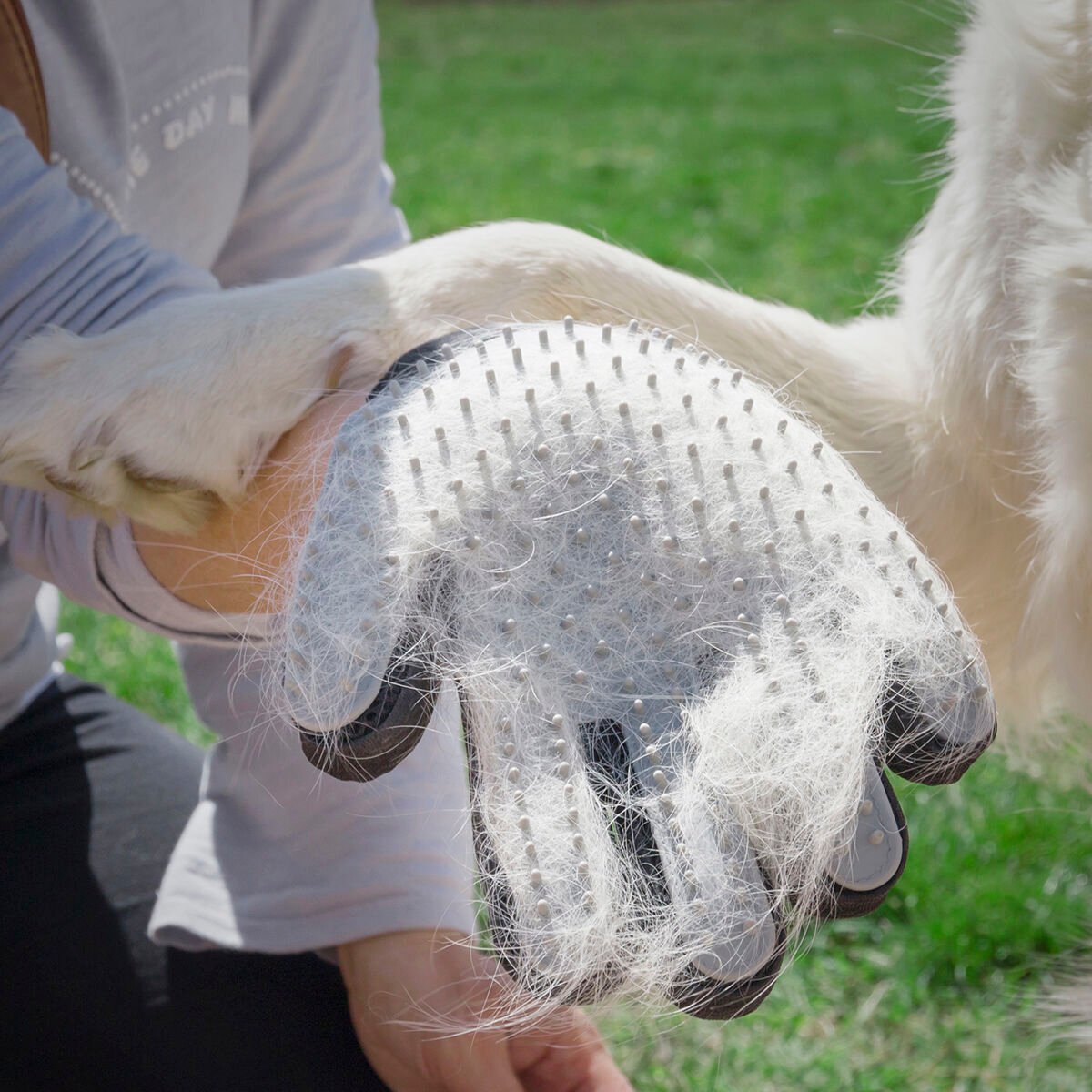 InnovaGoods Pet Brush & Massage Glove _7