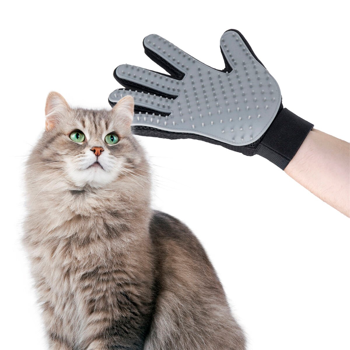 InnovaGoods Pet Brush & Massage Glove _16