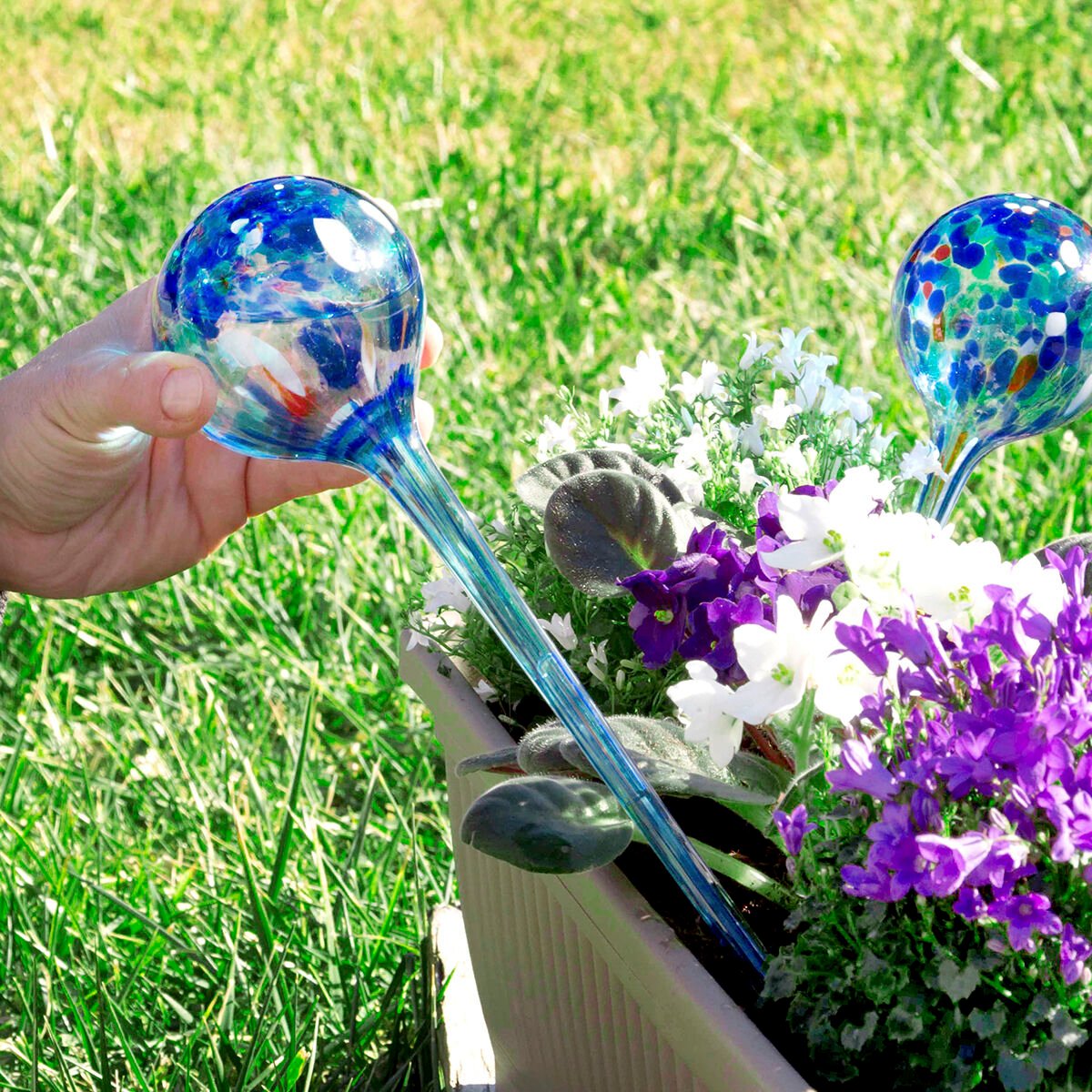 Automatic Watering Globes Aqua·loon InnovaGoods (Pack of 2)_8