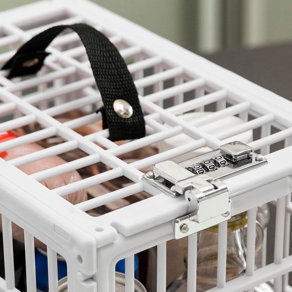 InnovaGoods Food Safe Fridge Locker_10