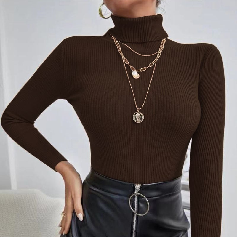 Women's Pullover Sweater Jumper Basic Casual Solid Color Ribbed Turtleneck Knitted Thin Long Sleeve Knit Daily Black White Fall Winter
