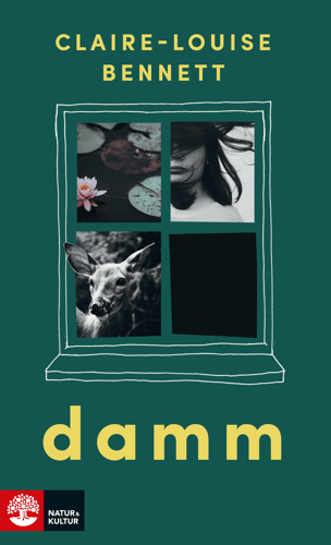 Damm_1