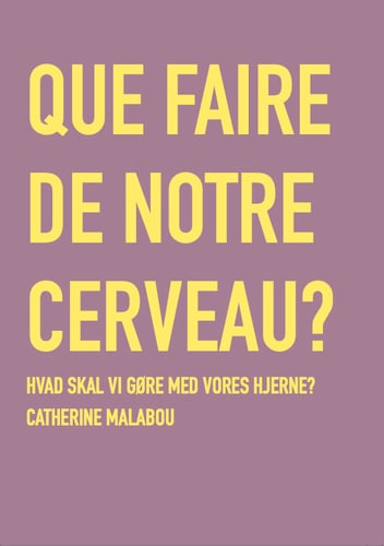 Hvad skal vi gøre med vores hjerne?