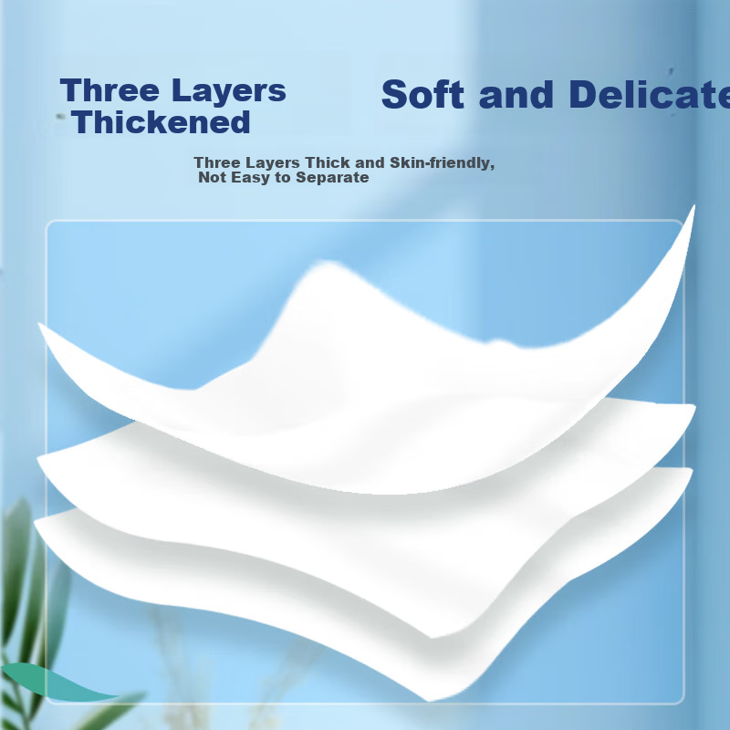 Feiyu 3-ply facial tissues, 100 sheets x 24 packs