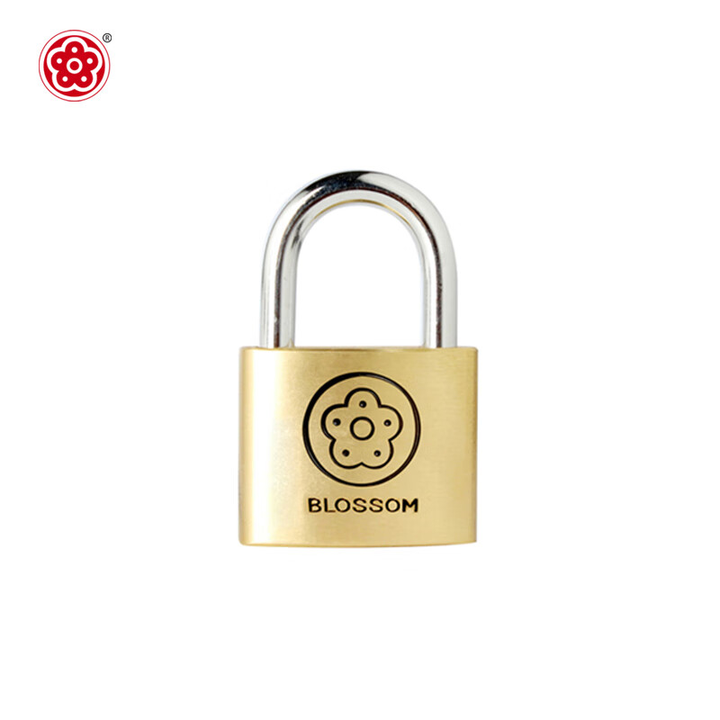 BLOSSOM Copper Padlock 30MM for Dorms and Drawers