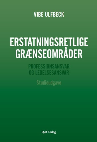 Erstatningsretlige grænseområder - studieudgave