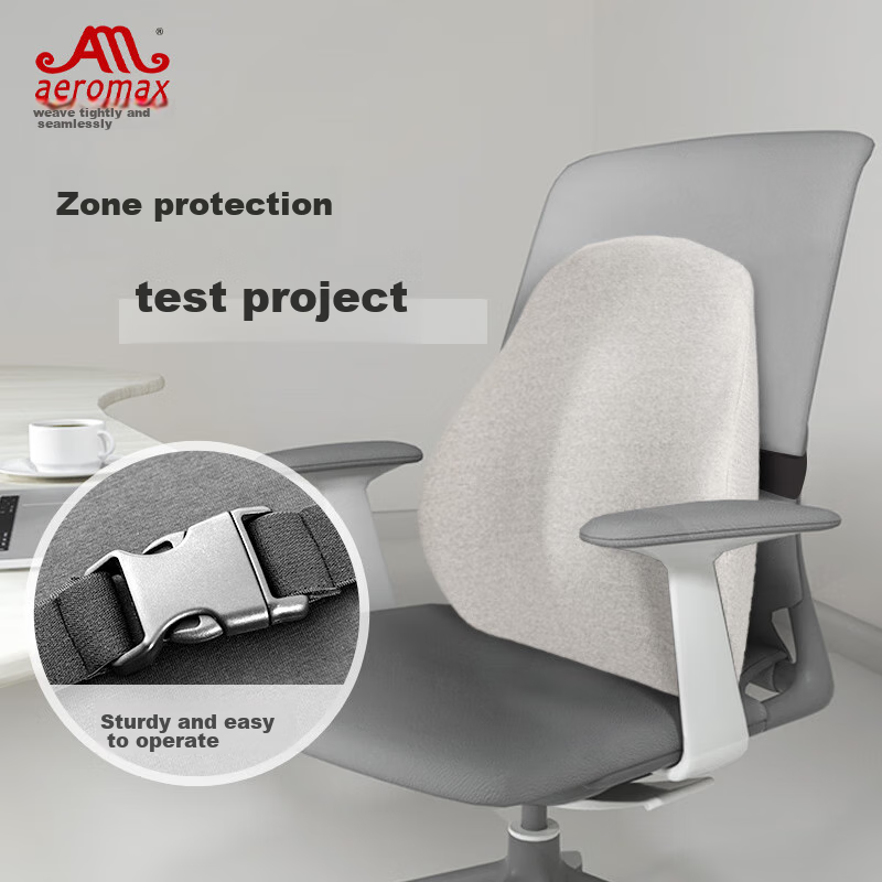 Aeromax memory foam lumbar pillow for back support