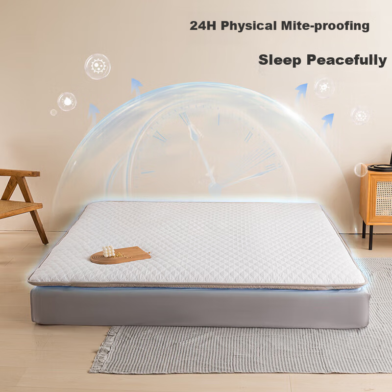 lovo anti-mite single mattress 1.2m dorm