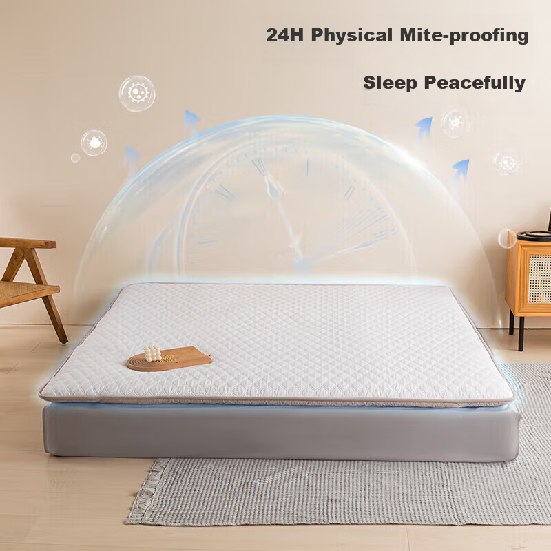lovo anti-mite single mattress 1.2m dorm