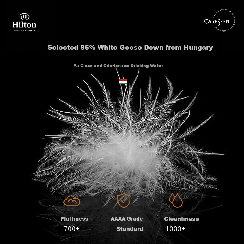 Canasin Hilton Goose Down Pillow