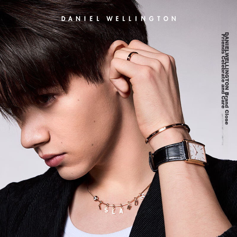 Daniel Wellington Shining Star Rose Gold Large Bracelet for Women – Cubic Zirconia Jewelry