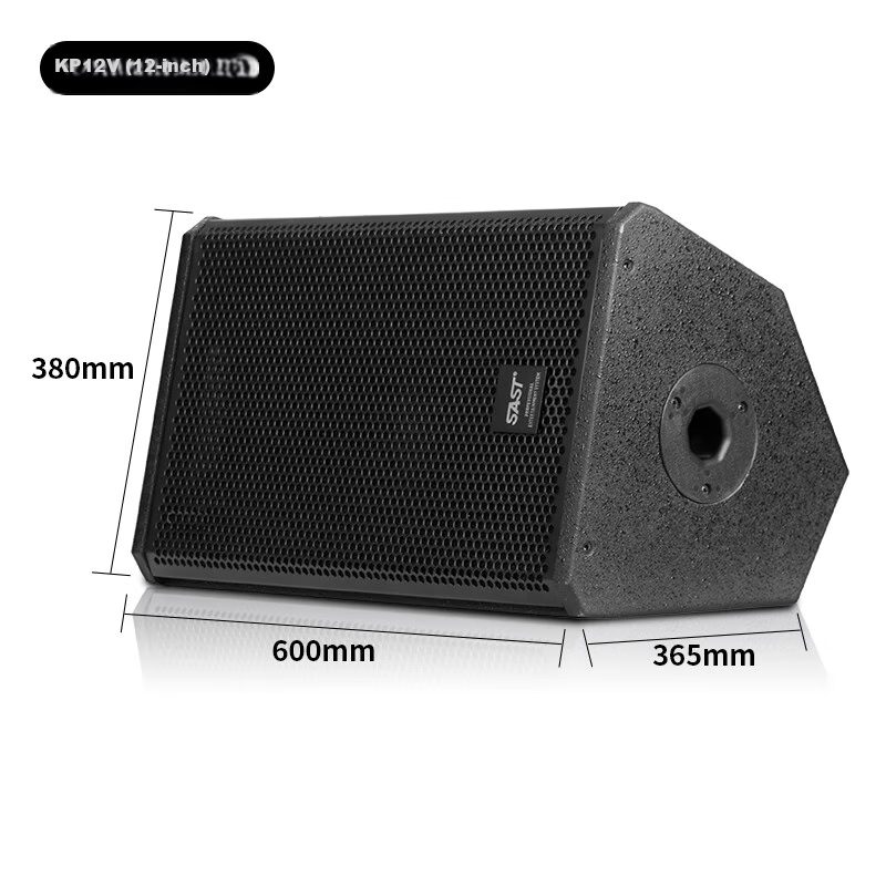 SAST KP12V 12-Inch Professional Stage Speaker for KTV, Conference, and Outdoor Events