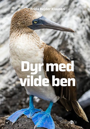 Dyr med vilde ben