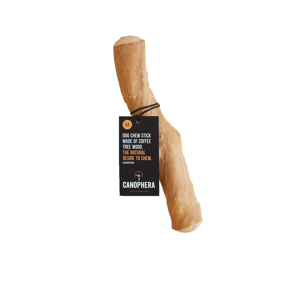 Canophera - coffee 22-26cm  M - (CANO0124)_0