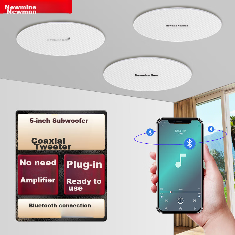 Newmine G-6 Wireless Ceiling Speaker Set