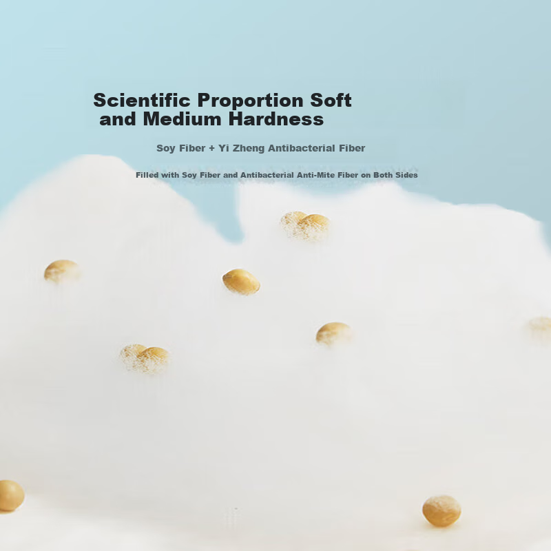 LUOLAI Antibacterial Mite-Proof Mattress Topper