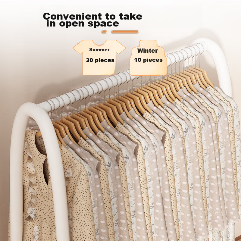 Anerya Iron Coat Rack - Double-Layer Freestanding Hanger