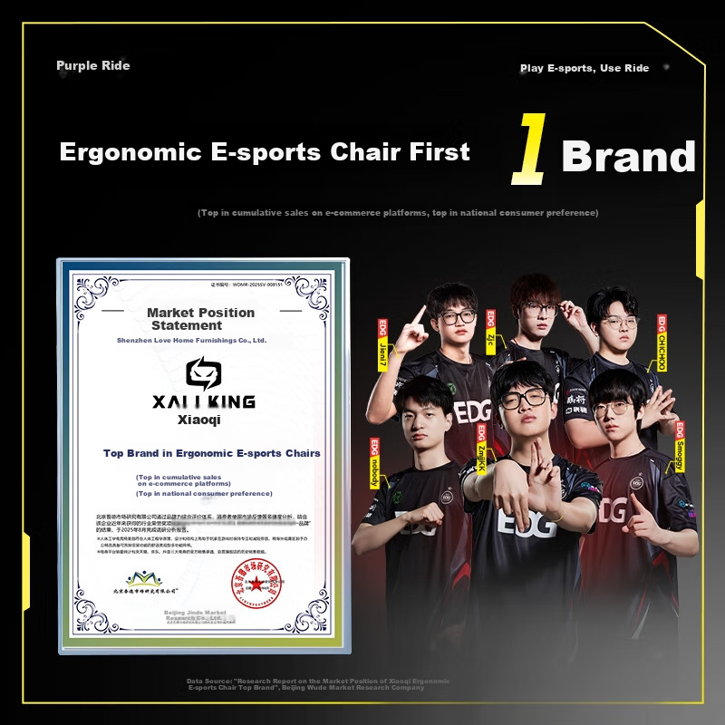 XALLKING X5 Ergonomic Gaming Chair - Black Knight Edition