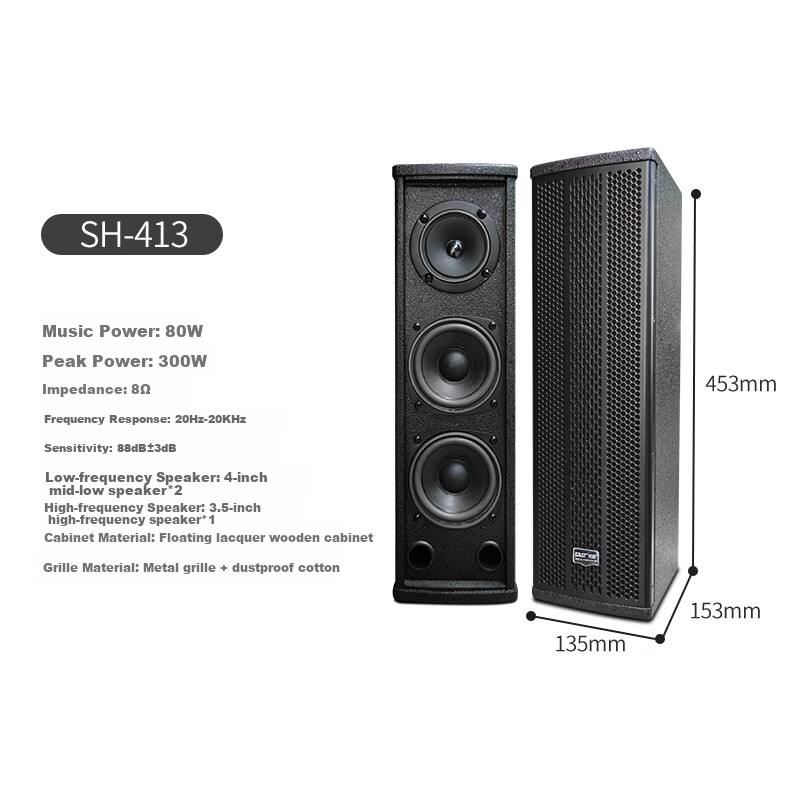 SAST K3V 10-Inch Passive Speakers