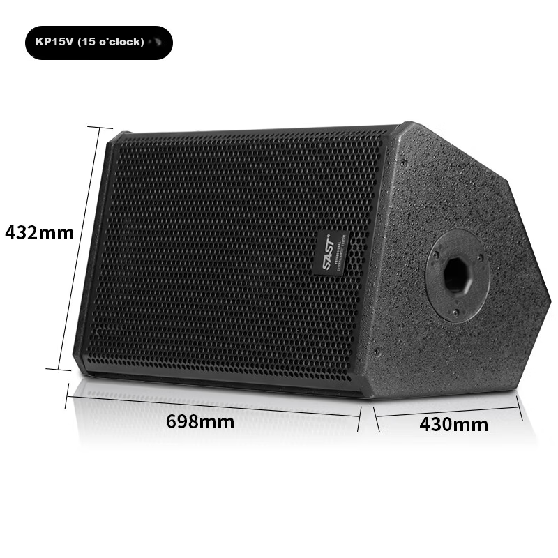 SAST KP15V 15-Inch Professional Stage Speaker