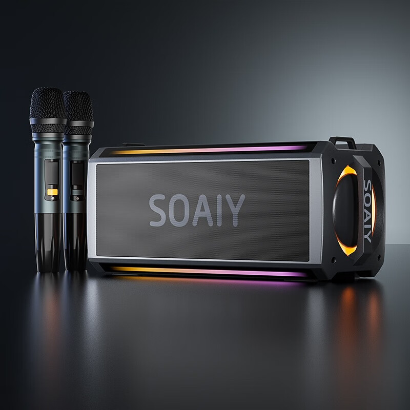 Soaiy SH05 Outdoor Karaoke Speaker with Dual Microphones
